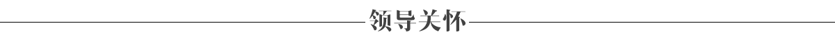 集团概况