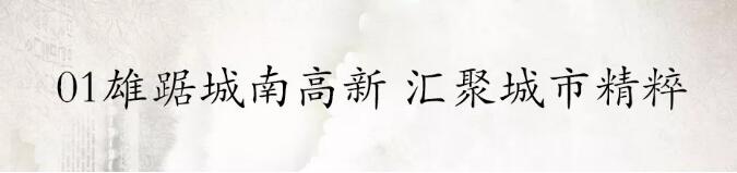 佳乐&bull;江屿城丨燃动乐山，，，火爆开盘！