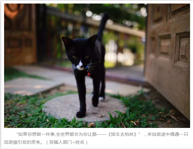 j9数字站(中国集团)公司官网