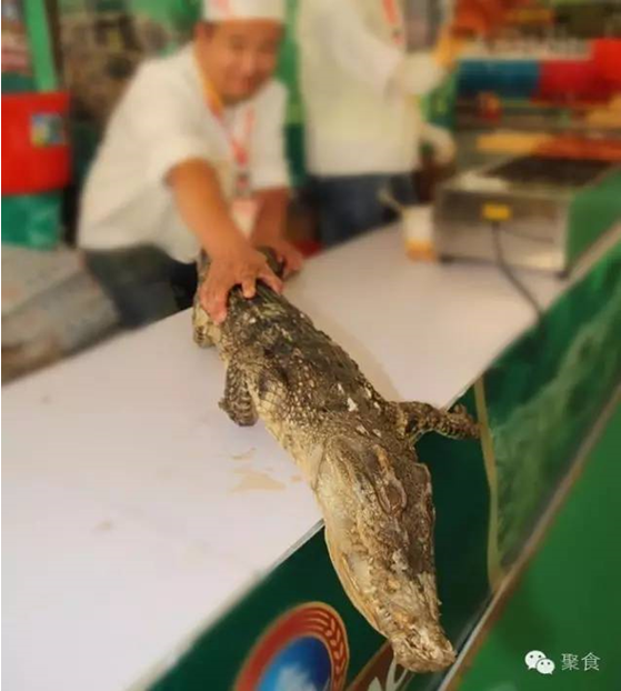 10月28日到j9数字站金街，，，带你体验一场全球美食之旅！