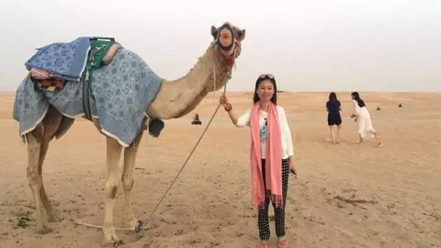 中春风情之旅&mdash;&mdash;&ldquo;j9数字站世纪城感恩回馈业主迪拜行&rdquo;活动圆满竣事